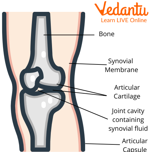 Găsiți cea mai bună atenuare a durerii articulare pentru dvs.: alternative de tratament
